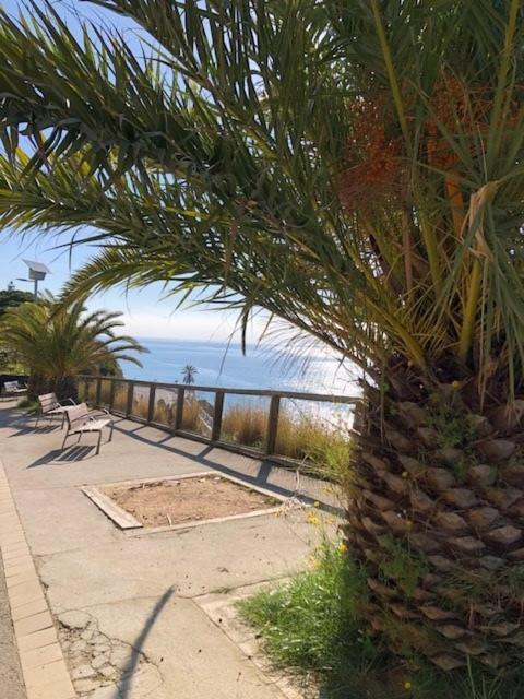 The Hollidays Apartment Calella Exterior photo